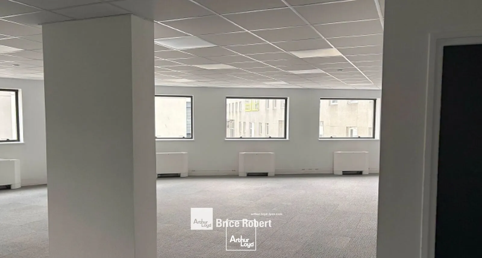 Bureaux - Location - LYON - 69009 - 164-1955.4 - 7677058