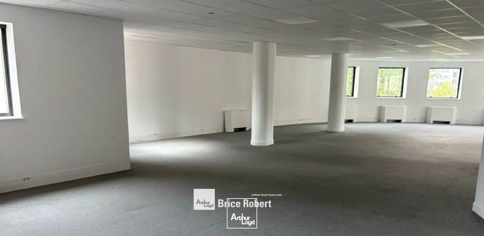 Bureaux - Location - LYON - 69009 - 164-1955.4 - 7677059