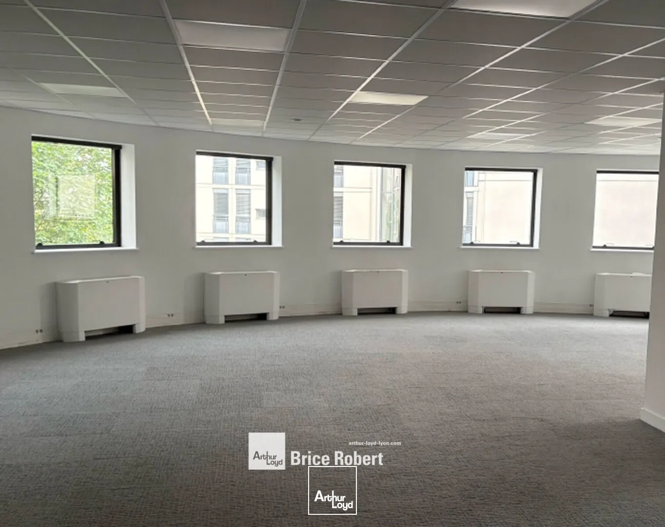 Bureaux - Location - LYON - 69009 - 164-1955.4 - 7677060