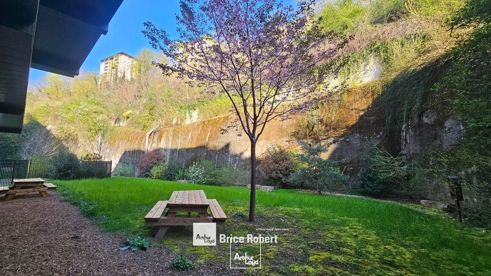 Bureaux - Location - LYON - 69009 - 292-292 - 7677076