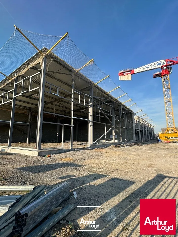 Locaux d'activité & Entrepôts - Vente - SAINT-VINCENT-DE-TYROSSE - 40230 - 146.92-146.92 - 7677214