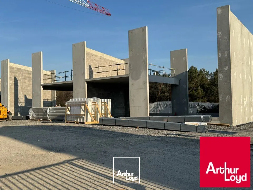 Locaux d'activité & Entrepôts - Vente - SAINT-VINCENT-DE-TYROSSE - 40230 - 149.99-149.99 - 7677213