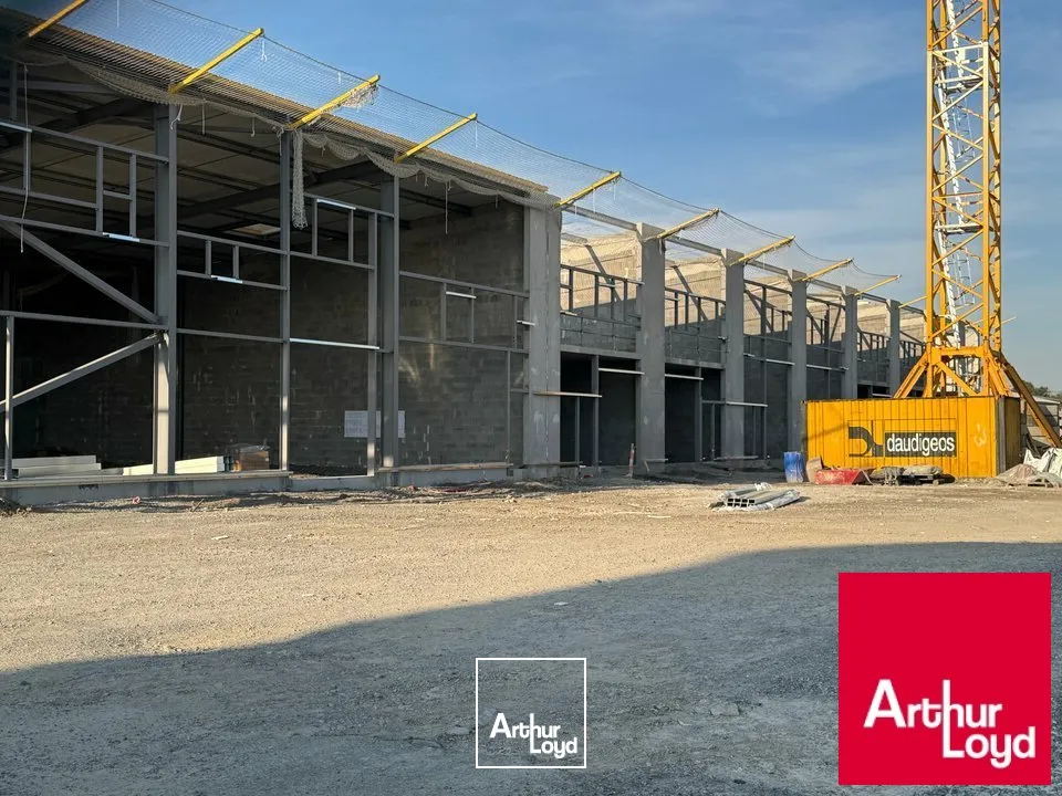Locaux d'activité & Entrepôts - Vente - SAINT-VINCENT-DE-TYROSSE - 40230 - 141.05-141.05 - 7677217