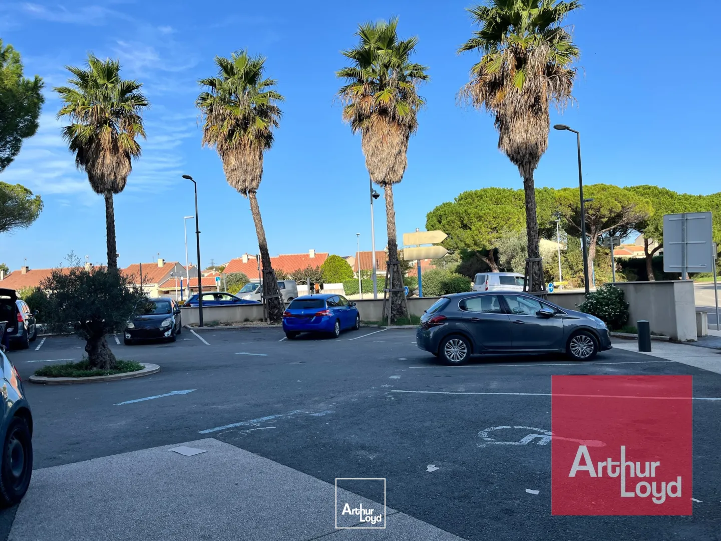 Locaux commerciaux - Location - LATTES - 34970 - 343-343 - 7677325