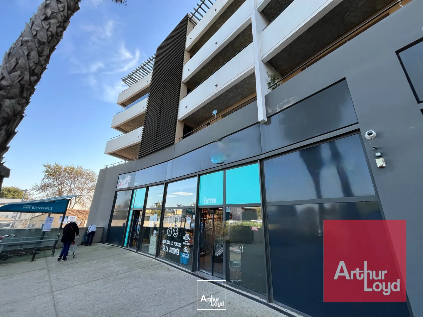 Locaux commerciaux - Location - LATTES - 34970 - 343-343 - 7677327