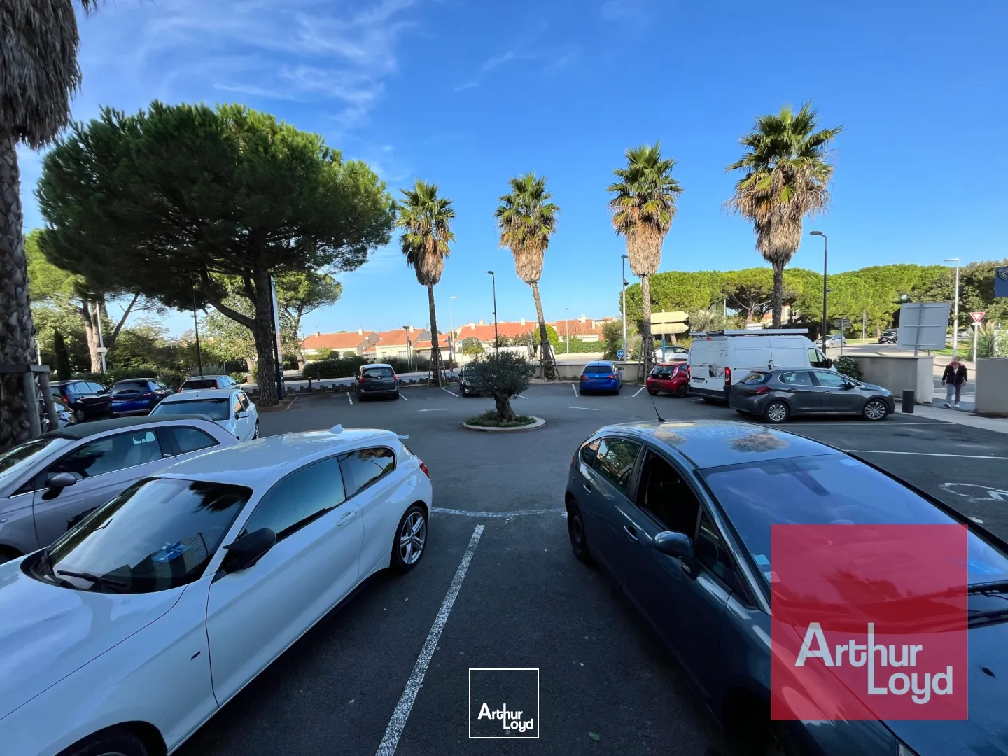 Locaux commerciaux - Location - LATTES - 34970 - 343-343 - 7677328