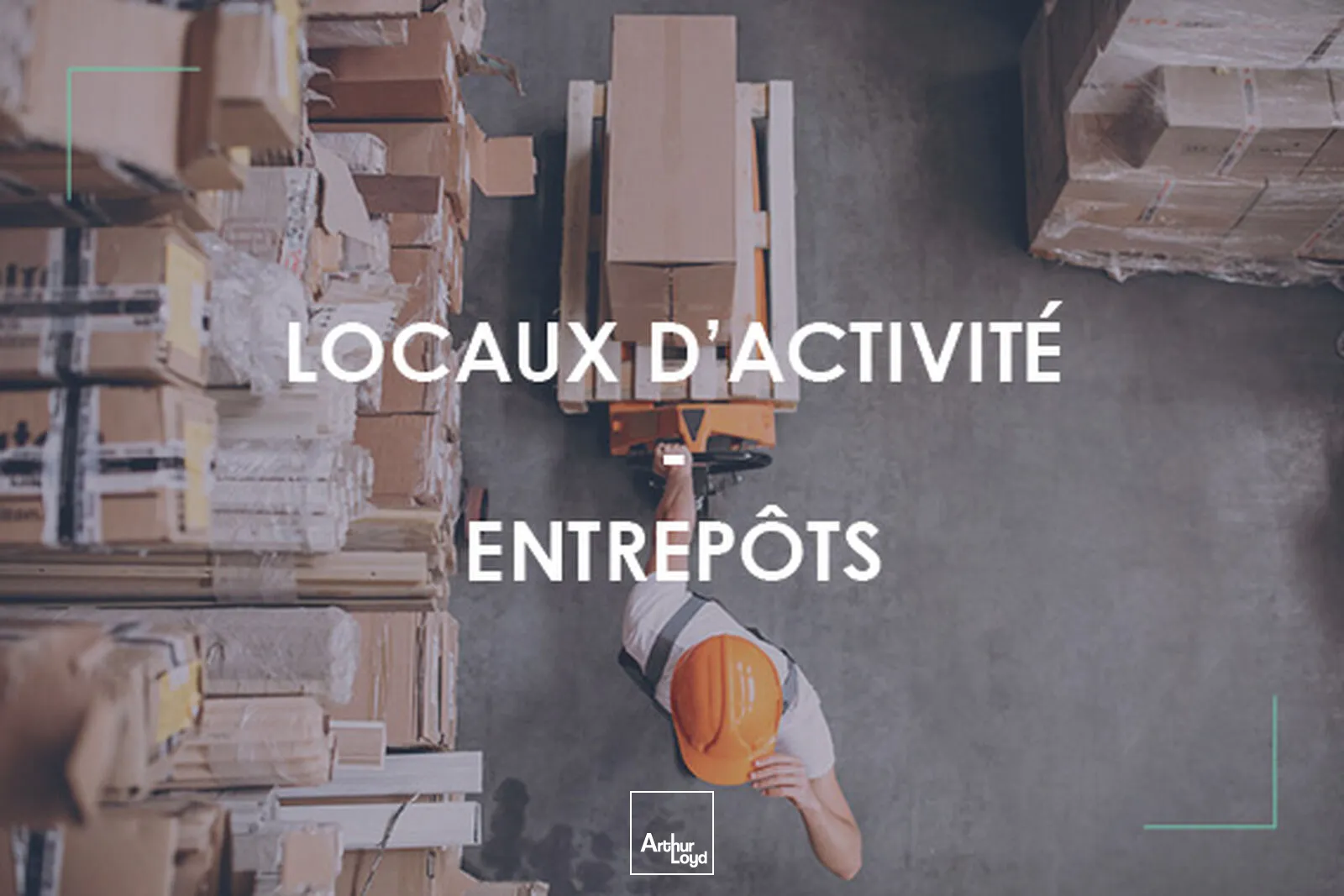 Locaux d'activité & Entrepôts - Location - SAINT HERBLAIN - 44800 - 710-710 - 7677477