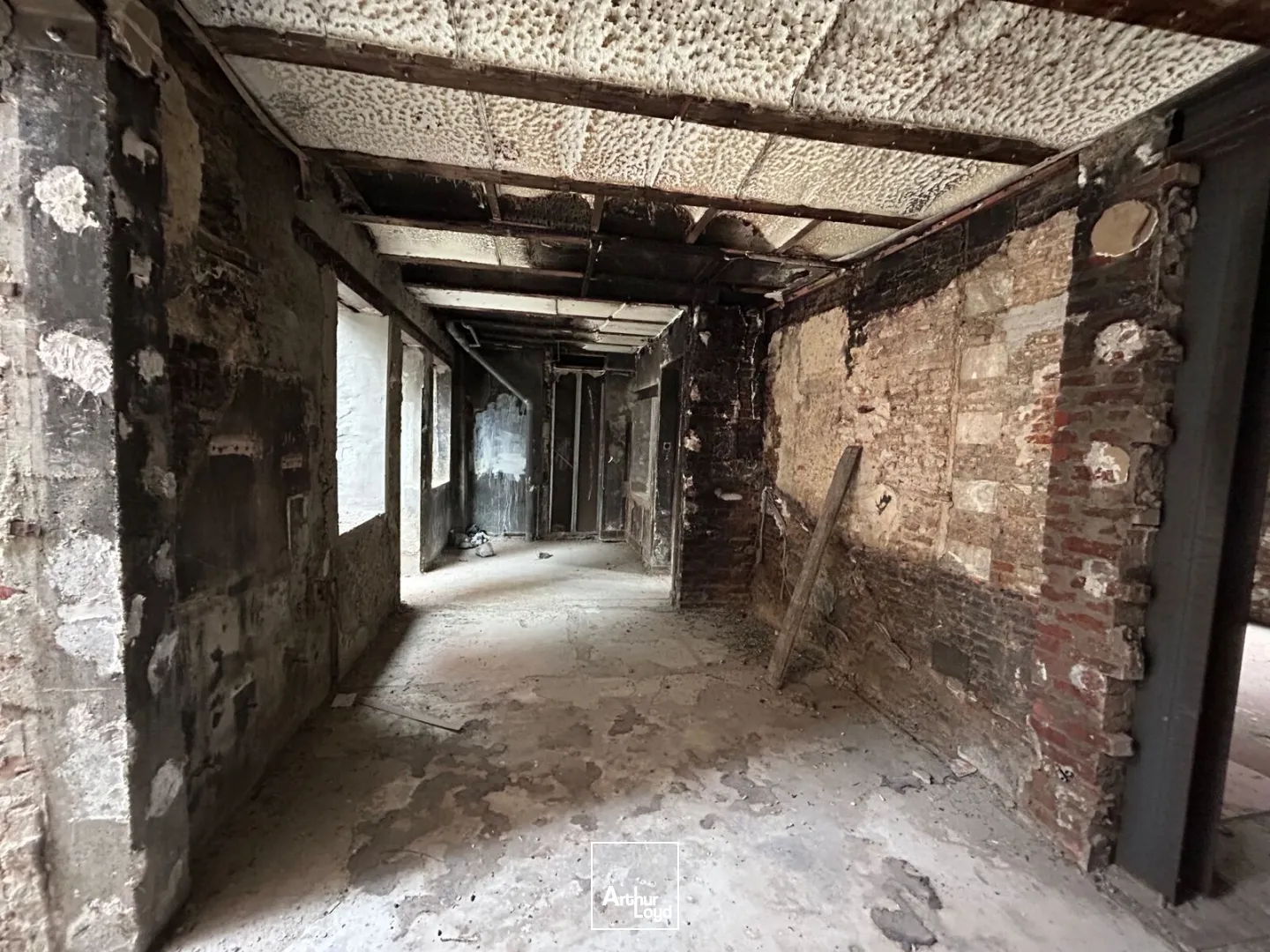 Locaux commerciaux - Location - LILLE - 59000 - 20-135 - 7677712