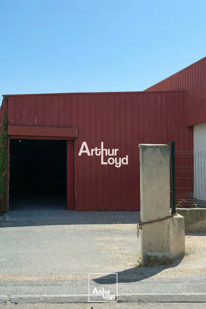 Locaux d'activité & Entrepôts - Location - PUGET SUR ARGENS - 83480 - 398-398 - 7678863