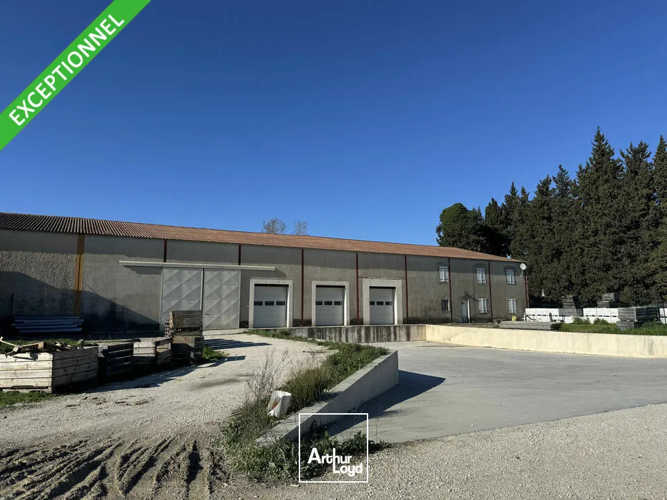 Locaux d'activité & Entrepôts - Vente - NOVES - 13550 - 800-800 - 7678889