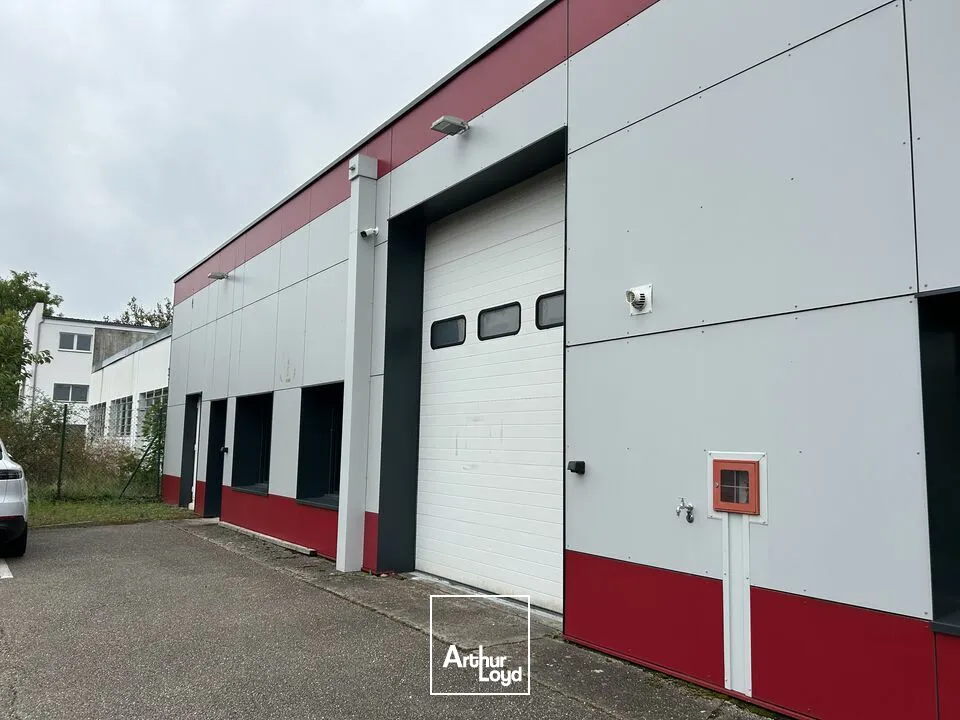 Locaux d'activité & Entrepôts - Location - METZ - 57000 - 160-160 - 7678913