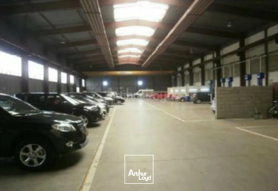 Locaux d'activité & Entrepôts - Vente - MULHOUSE - 68200 - 4552-4552 - 7678930