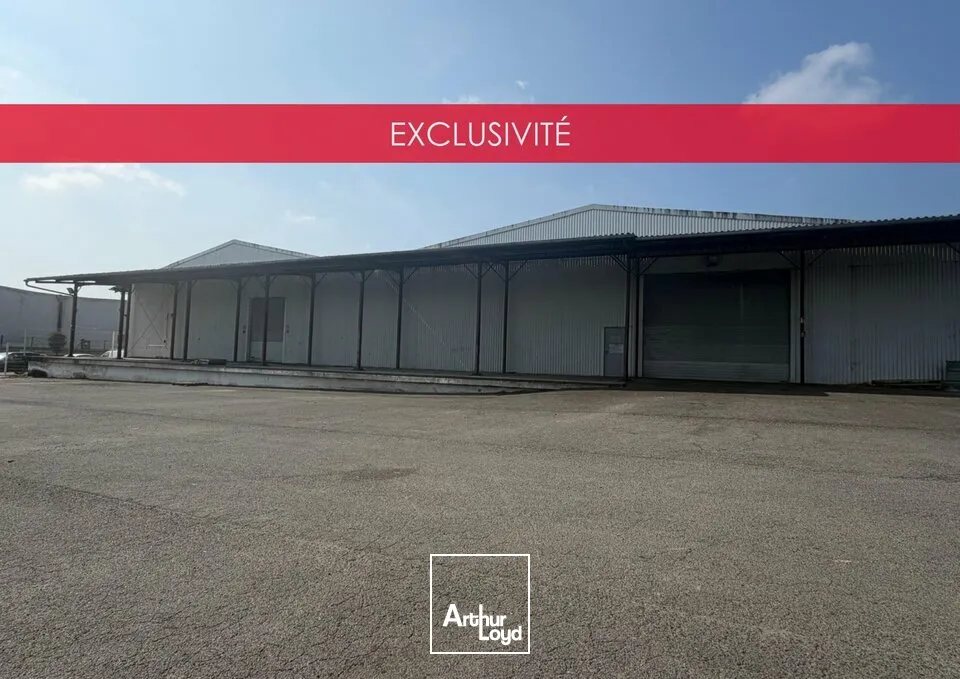 Locaux d'activité & Entrepôts - Vente - SAINT-DOULCHARD - 18230 - 3800-3800 - 7679041