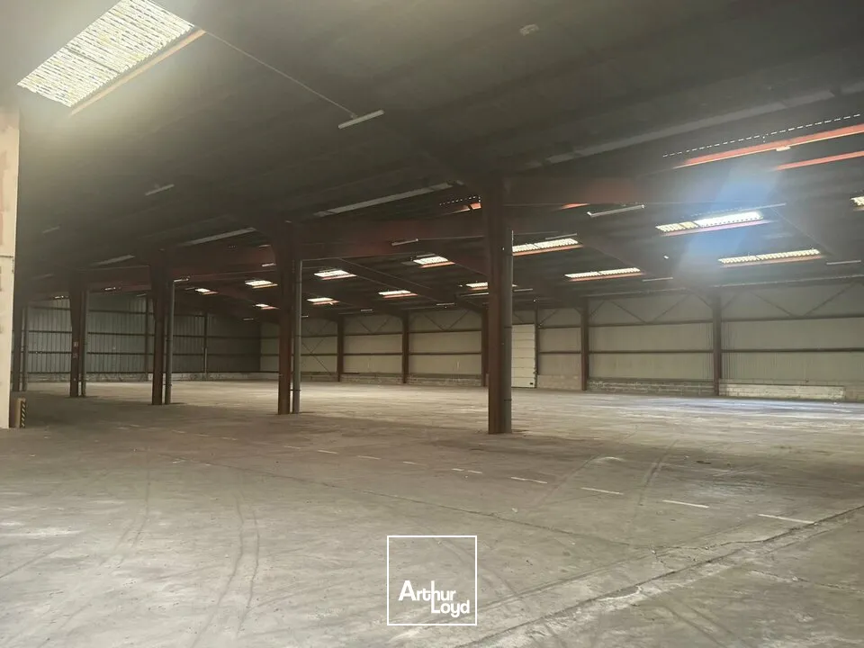 Locaux d'activité & Entrepôts - Vente - SAINT-DOULCHARD - 18230 - 3800-3800 - 7679046