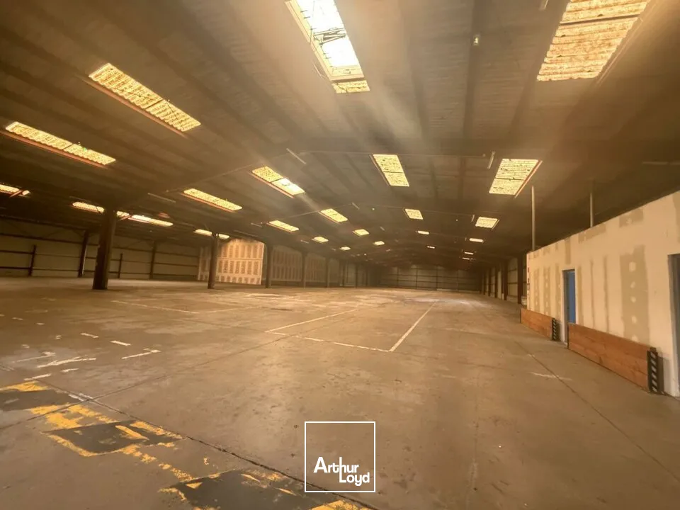 Locaux d'activité & Entrepôts - Vente - SAINT-DOULCHARD - 18230 - 3800-3800 - 7679045