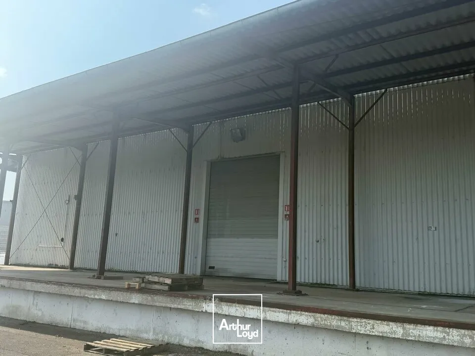 Locaux d'activité & Entrepôts - Vente - SAINT-DOULCHARD - 18230 - 3800-3800 - 7679043