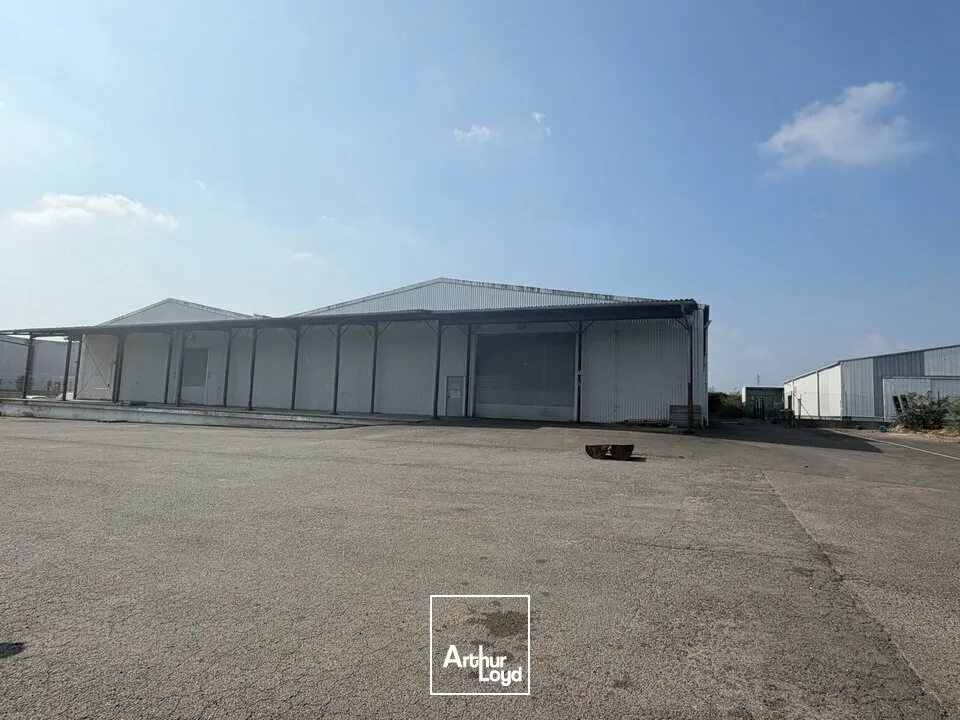 Locaux d'activité & Entrepôts - Vente - SAINT-DOULCHARD - 18230 - 3800-3800 - 7679042