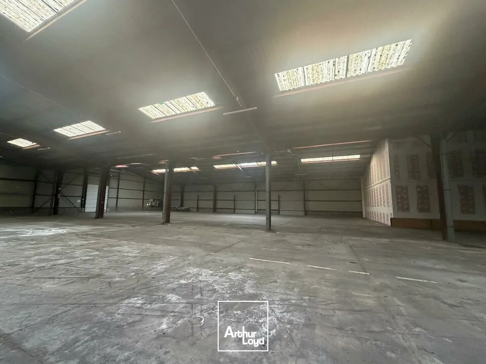 Locaux d'activité & Entrepôts - Vente - SAINT-DOULCHARD - 18230 - 3800-3800 - 7679052