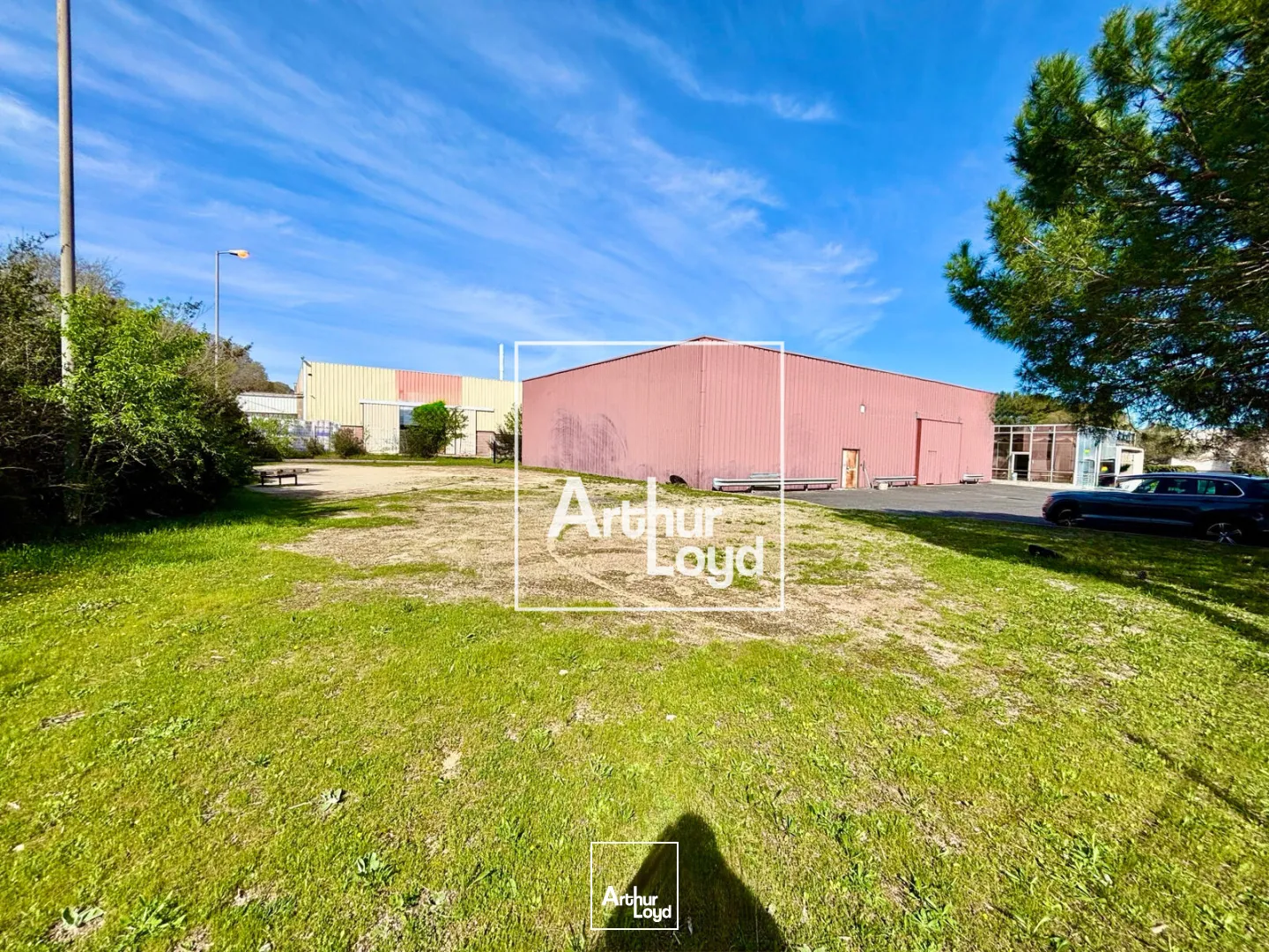 Locaux d'activité & Entrepôts - Vente - SAINT JEAN DE VEDAS - 34430 - 1069-1069 - 7679102