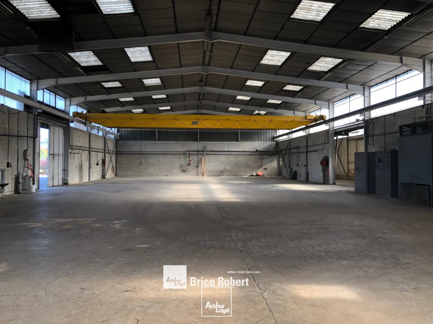 Locaux d'activité & Entrepôts - Location - CHASSIEU - 69680 - 1250-1250 - 7687088