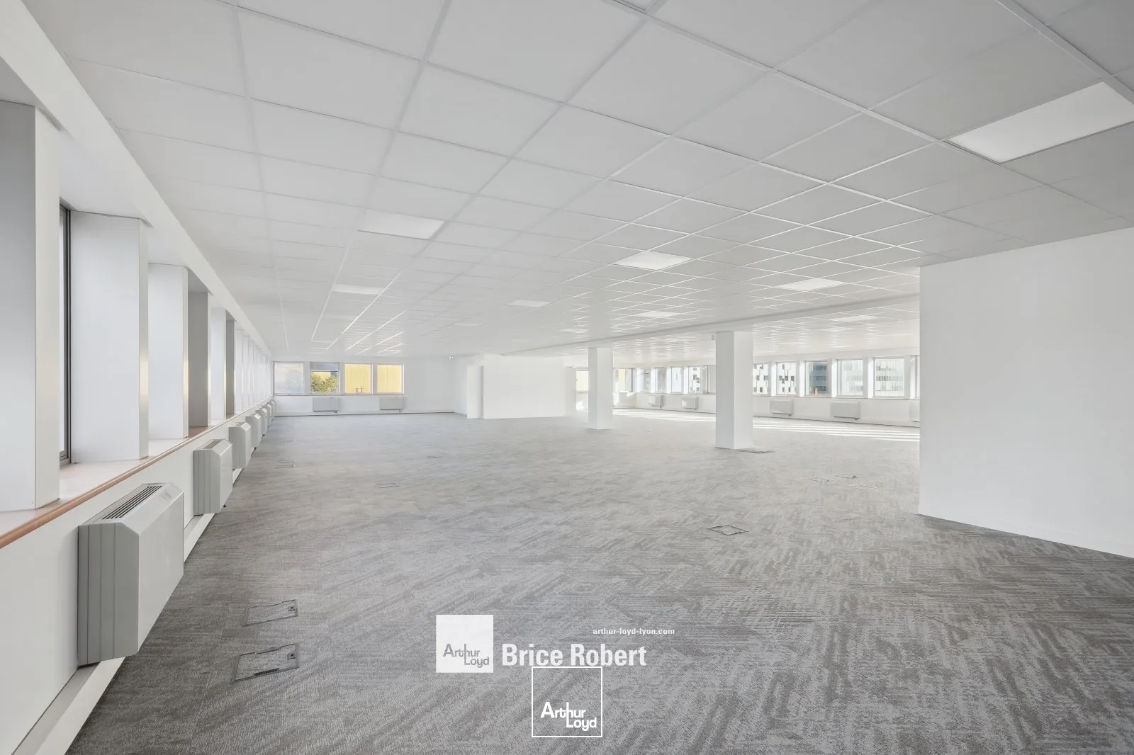 Bureaux - Location - LYON - 69003 - 259-259 - 7687110