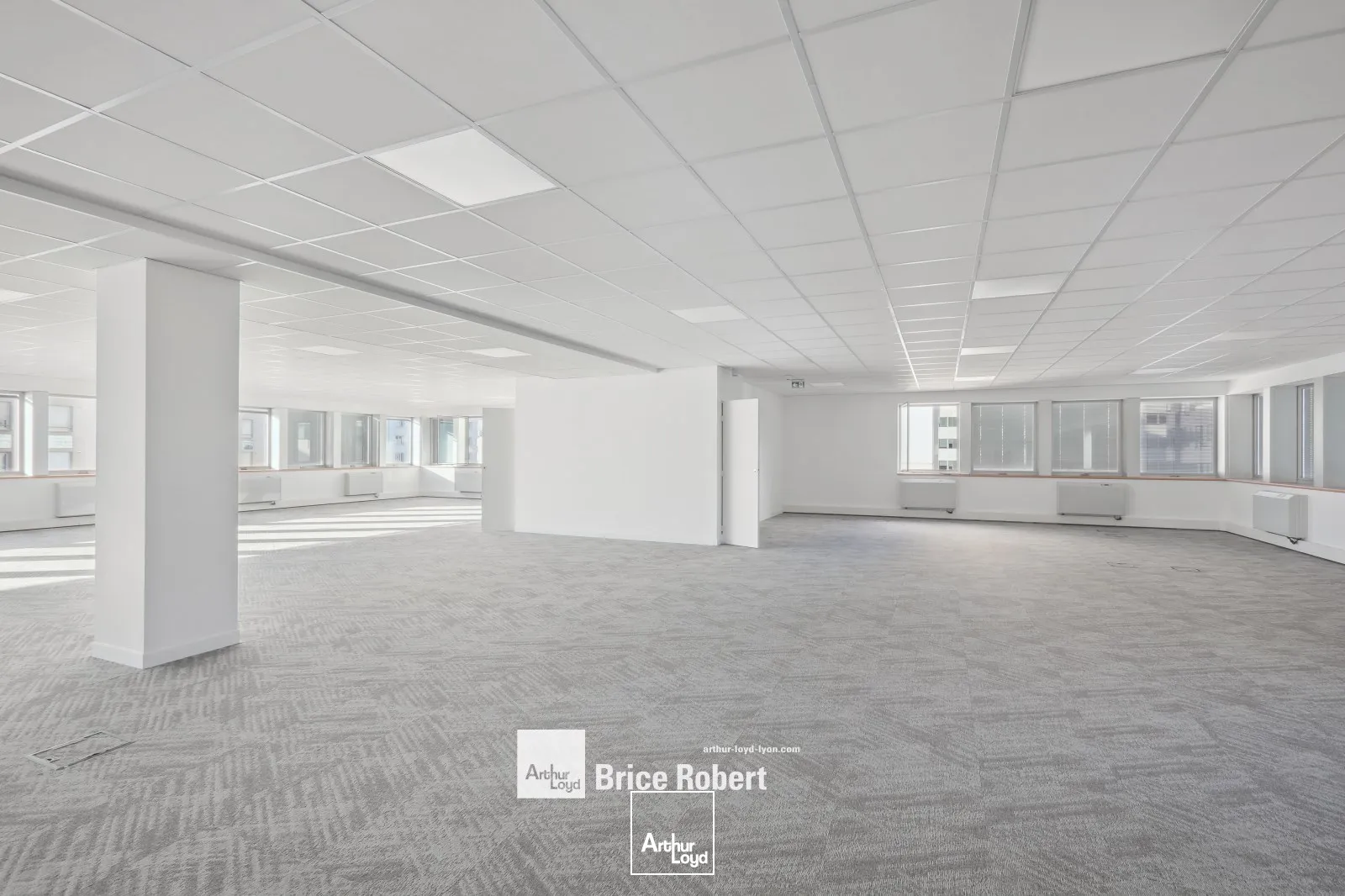 Bureaux - Location - LYON - 69003 - 259-259 - 7687107