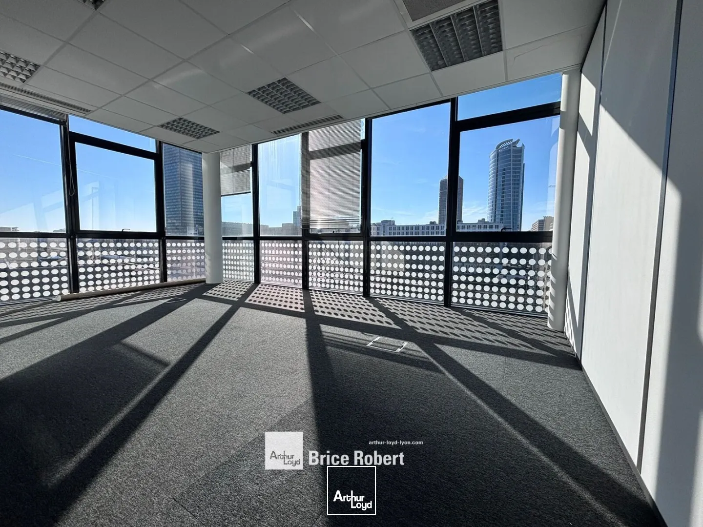 Bureaux - Location - LYON - 69003 - 271.6-271.6 - 7687115