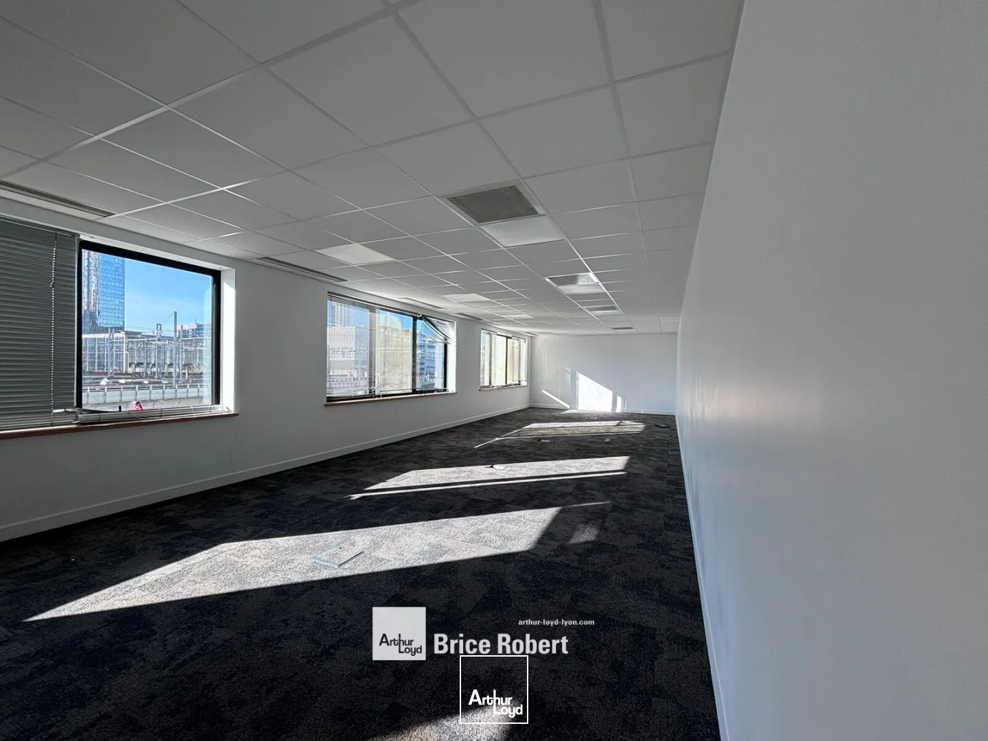Bureaux - Location - LYON - 69003 - 271.6-271.6 - 7687114