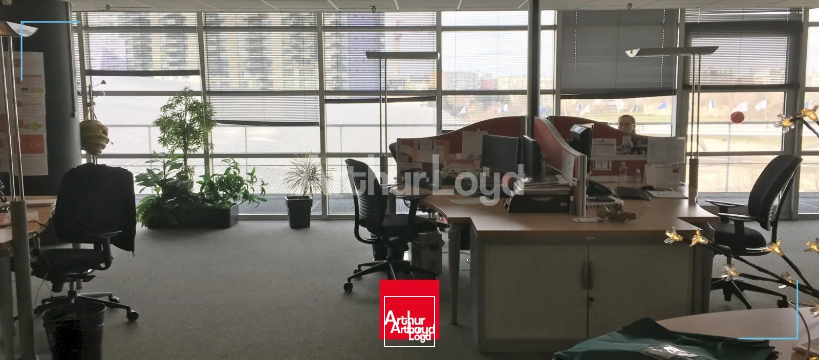 Bureaux - Location - EURALILLE - 59777 - 132-9191.2 - 7717742