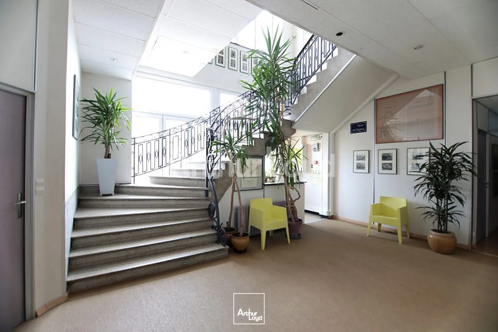 Bureaux - Location - LILLE - 59000 - 23-276 - 7717870