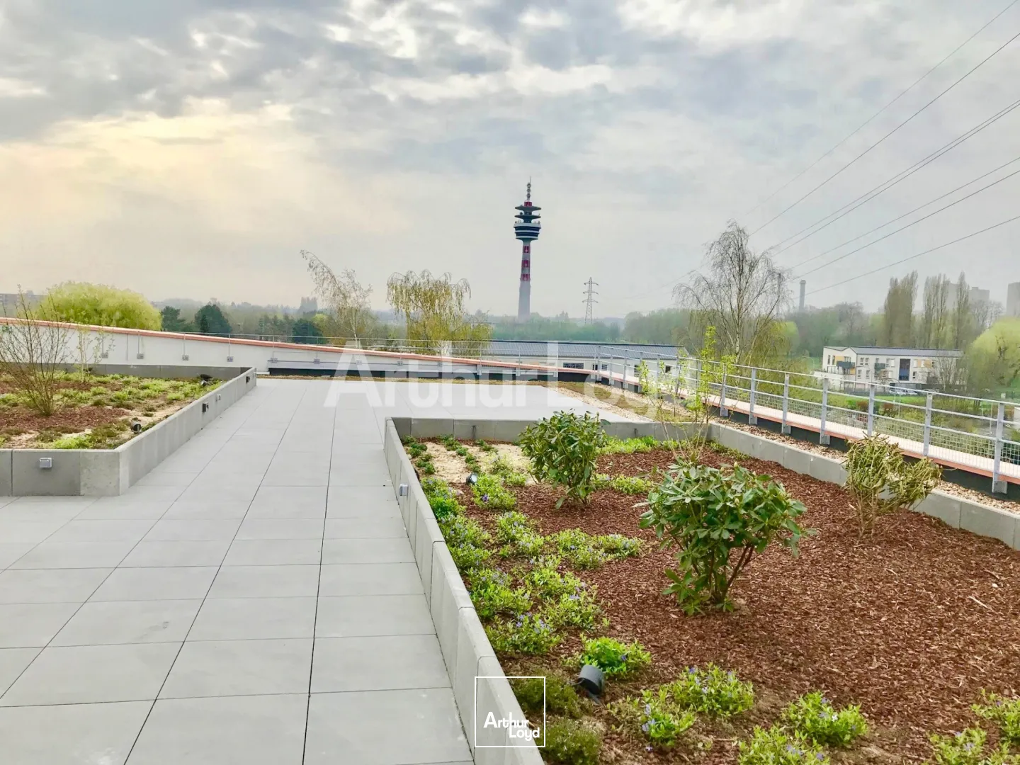 Bureaux - Location - VILLENEUVE D'ASCQ - 59650 - 210.41-527.06 - 7718074