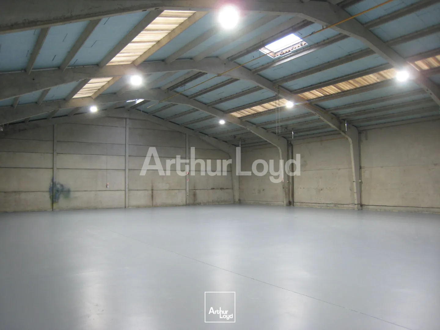 Locaux d'activité & Entrepôts - Location - TEMPLEMARS - 59175 - 1200-1200 - 7718187
