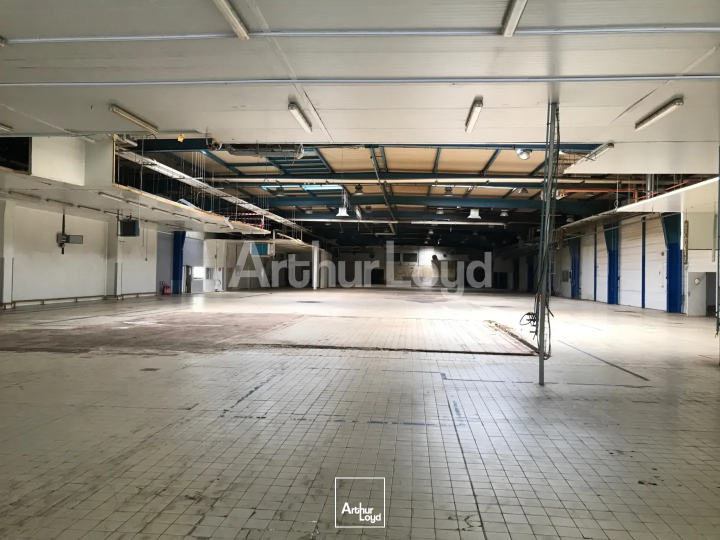 Locaux d'activité & Entrepôts - Vente - MAUBEUGE - 59600 - 6000-6000 - 7718371