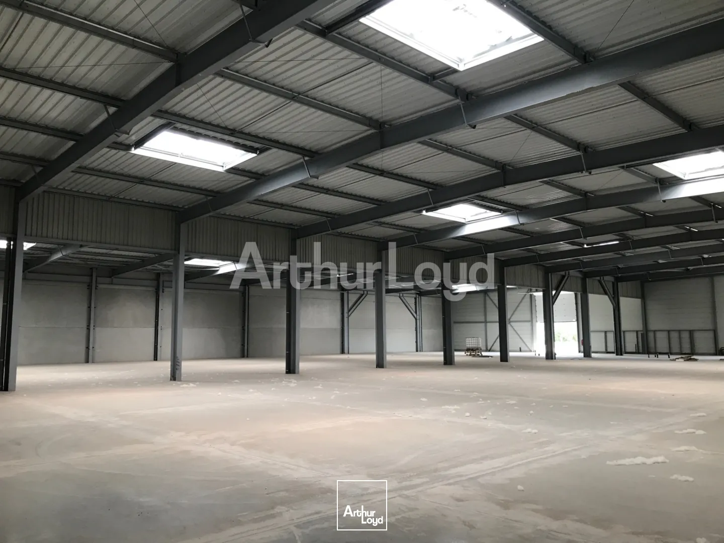 Locaux d'activité & Entrepôts - Location - SARS ET ROSIERES - 59230 - 2820-2820 - 7718379