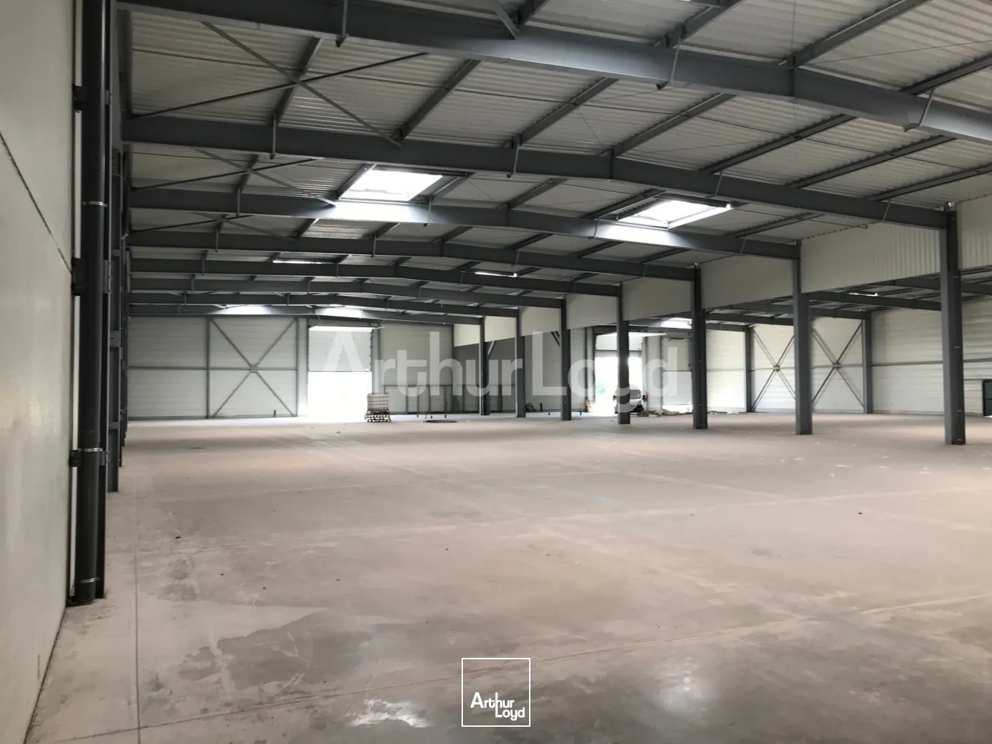 Locaux d'activité & Entrepôts - Location - SARS ET ROSIERES - 59230 - 2820-2820 - 7718380