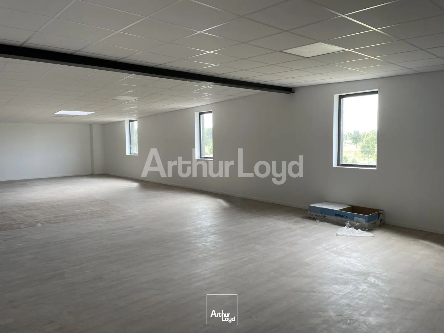 Bureaux - Location - SIN LE NOBLE - 59450 - 230-230 - 7718402