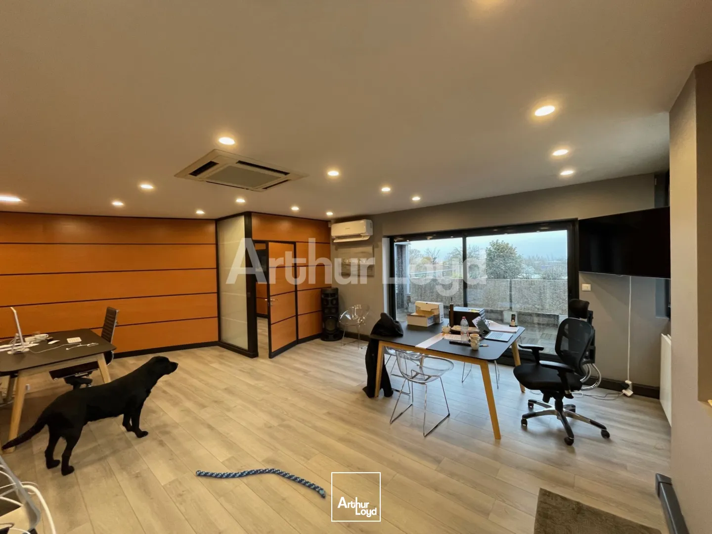 Bureaux - Location - CAPINGHEM - 59160 - 230-490 - 7718490