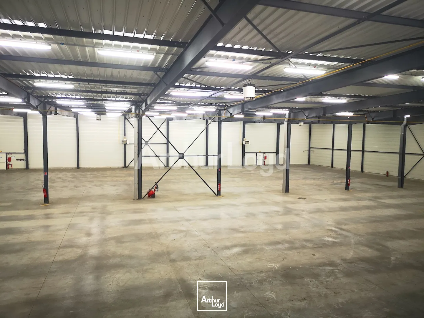 Locaux d'activité & Entrepôts - Location - LA SENTINELLE - 59174 - 3247-3247 - 7718610