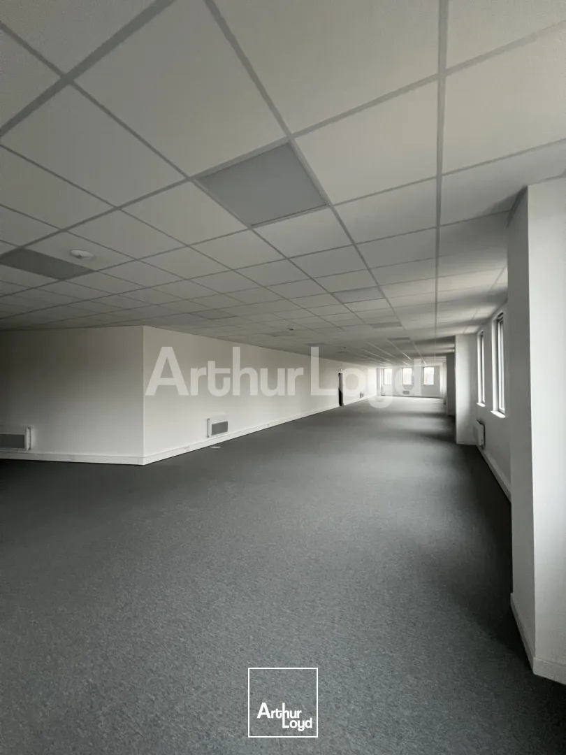 Locaux d'activité & Entrepôts - Location - SECLIN - 59113 - 288-1911 - 7718715