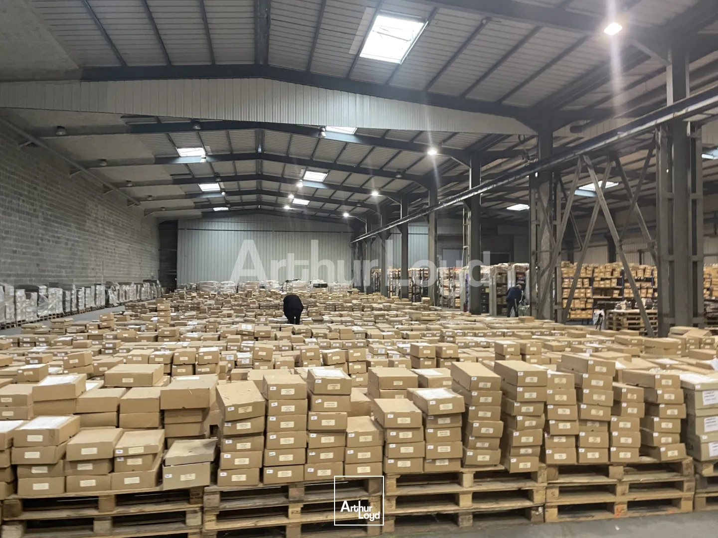 Locaux d'activité & Entrepôts - Location - FICHEUX - 62173 - 430-10560 - 7718754