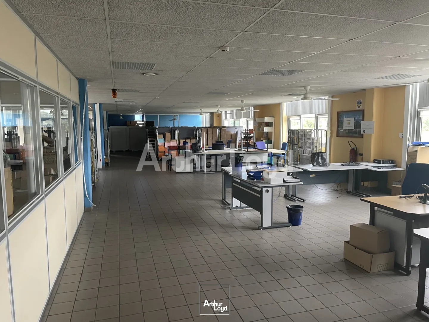 Bureaux - Location - NOYELLES SOUS LENS - 62221 - 5380-5380 - 7718747