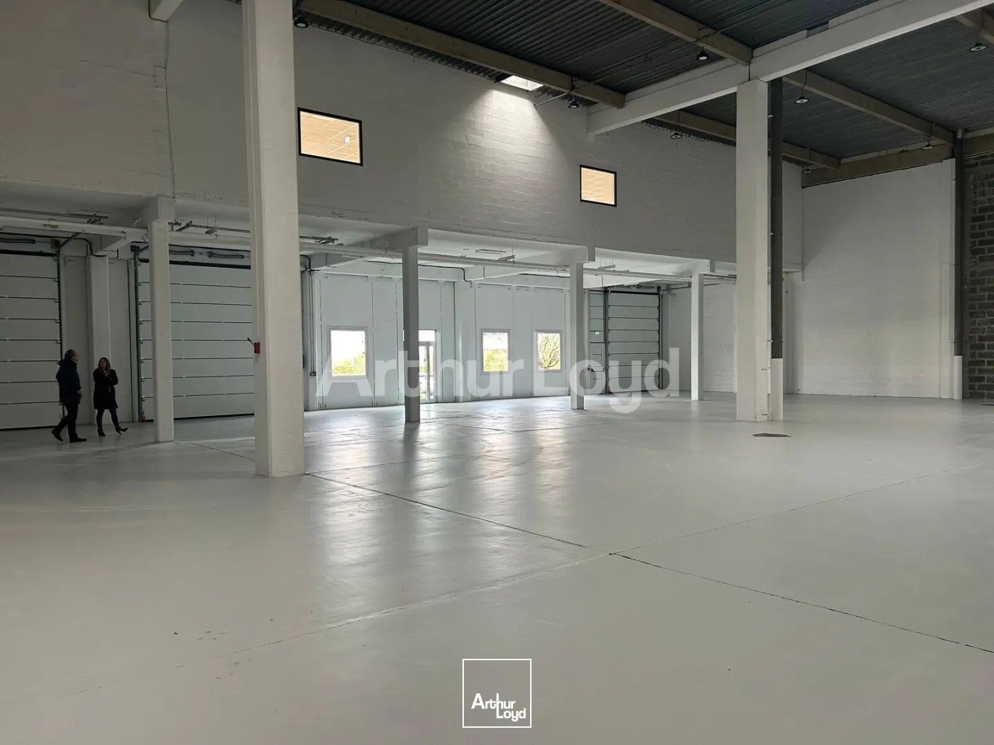 Locaux d'activité & Entrepôts - Location - VILLENEUVE D'ASCQ - 59650 - 233-2049 - 7718918
