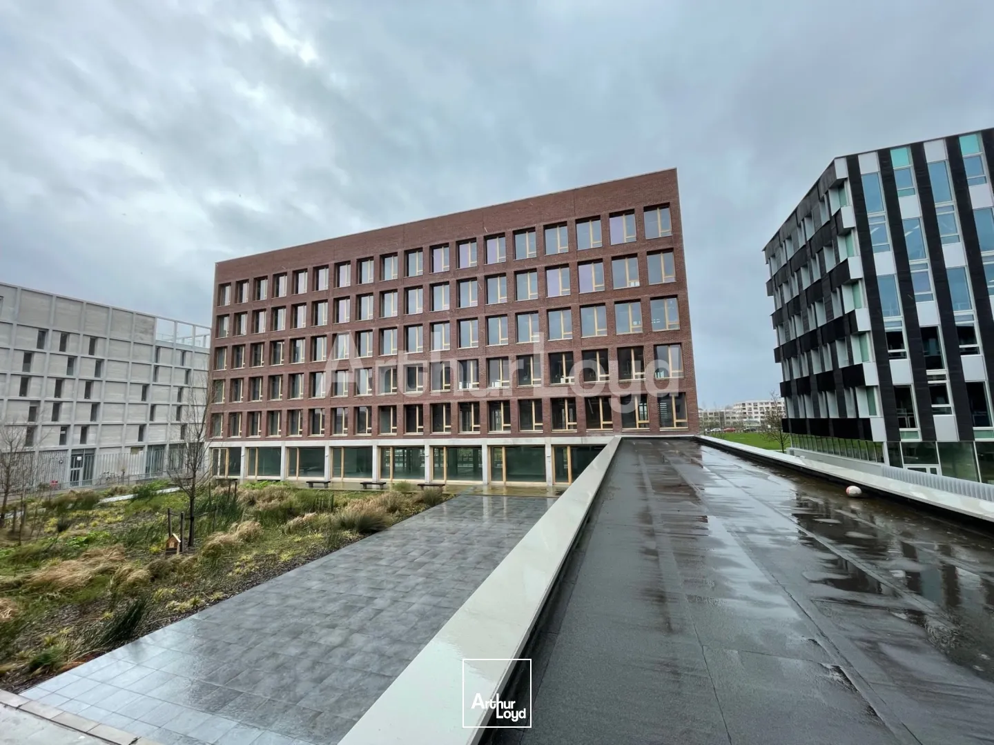 Bureaux - Location - LILLE - 59000 - 619.67-6067.67 - 7718925