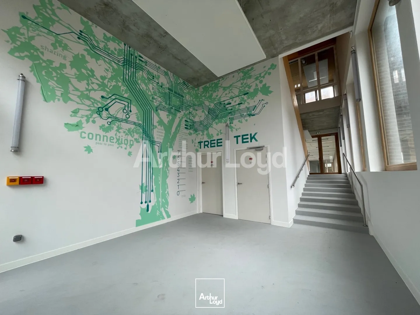 Bureaux - Location - LILLE - 59000 - 619.67-6067.67 - 7718928