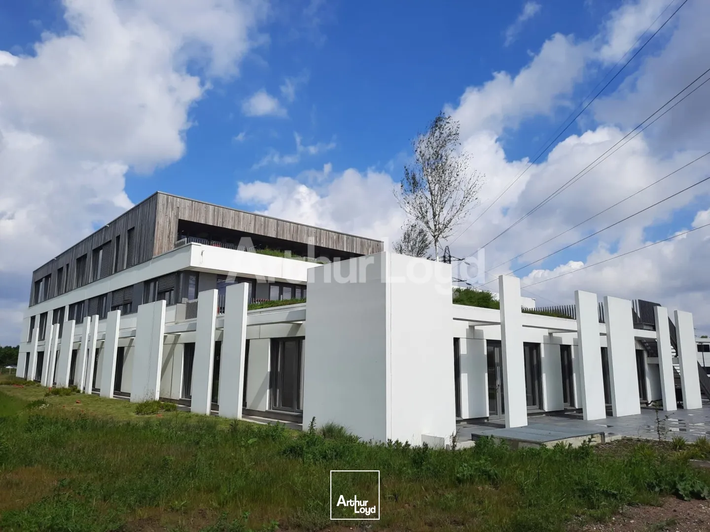 Bureaux - Location - VILLENEUVE D'ASCQ - 59650 - 462-5088 - 7719016