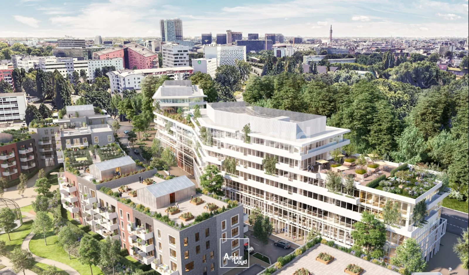 Bureaux - Vente - LA MADELEINE - 59110 - 216-1100 - 7719033