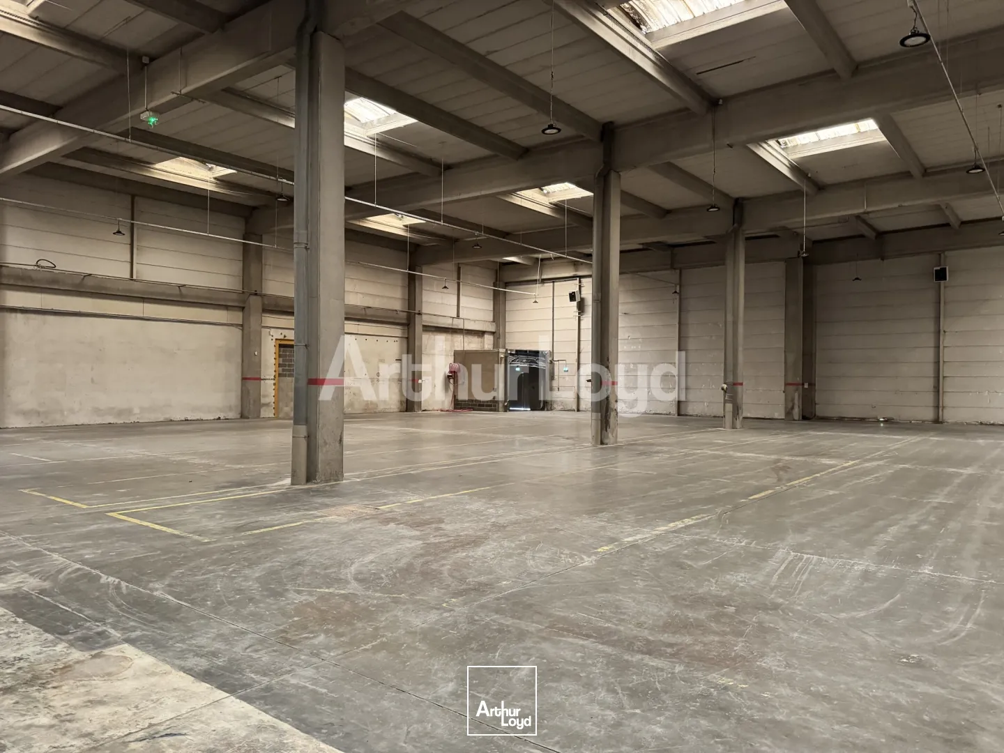 Locaux d'activité & Entrepôts - Location - CROIX - 59170 - 2351-2351 - 7719063