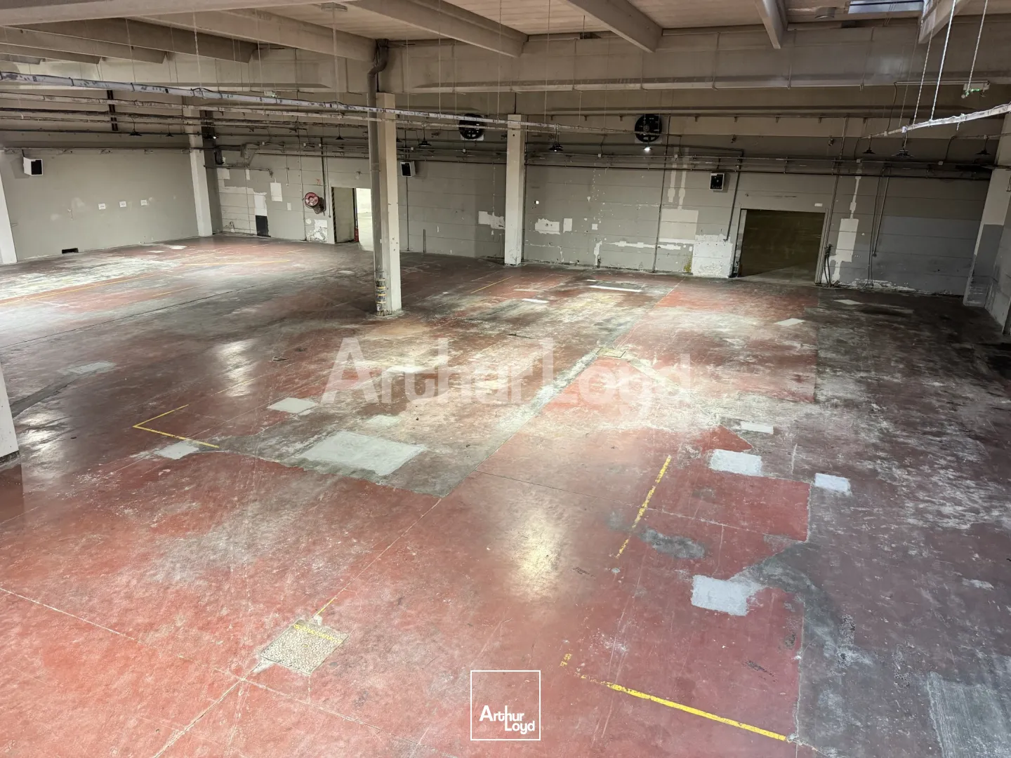 Locaux d'activité & Entrepôts - Location - CROIX - 59170 - 2351-2351 - 7719064