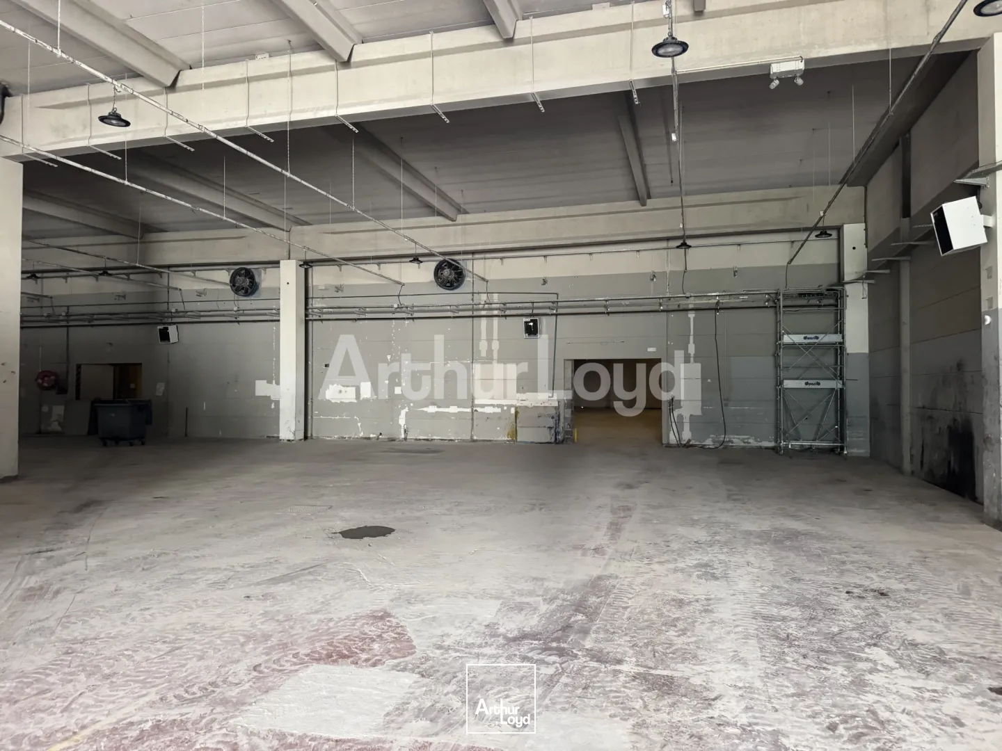 Locaux d'activité & Entrepôts - Location - CROIX - 59170 - 2351-2351 - 7719060