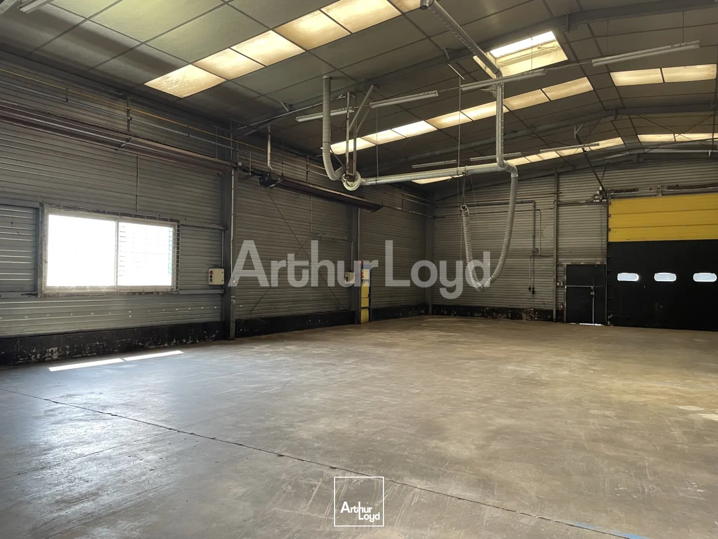 Locaux d'activité & Entrepôts - Vente - SAINT LAURENT BLANGY - 62223 - 1444-1444 - 7719134